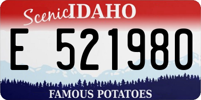 ID license plate E521980