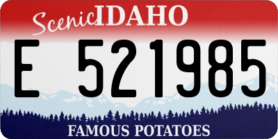 ID license plate E521985