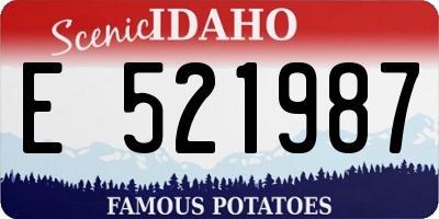 ID license plate E521987