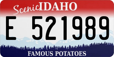 ID license plate E521989