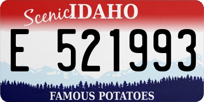 ID license plate E521993