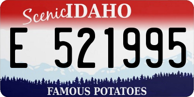 ID license plate E521995