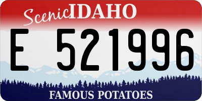 ID license plate E521996