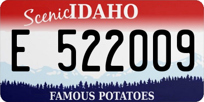 ID license plate E522009