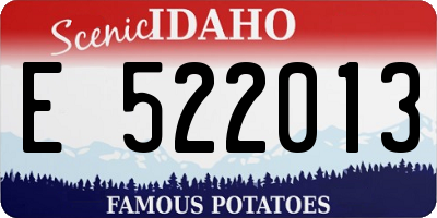 ID license plate E522013