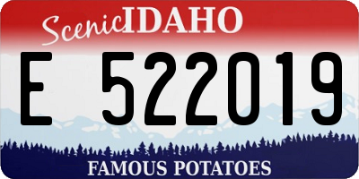 ID license plate E522019