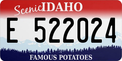ID license plate E522024