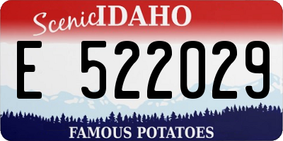 ID license plate E522029