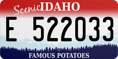 ID license plate E522033