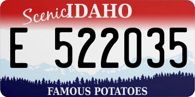 ID license plate E522035
