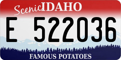 ID license plate E522036