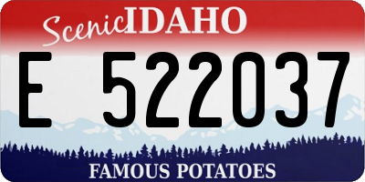 ID license plate E522037