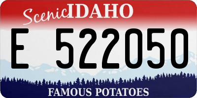 ID license plate E522050