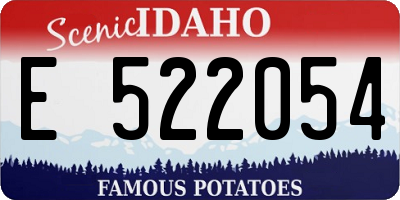 ID license plate E522054