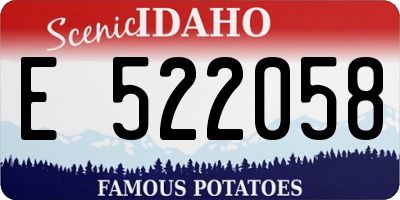 ID license plate E522058