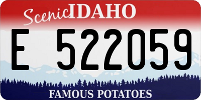 ID license plate E522059