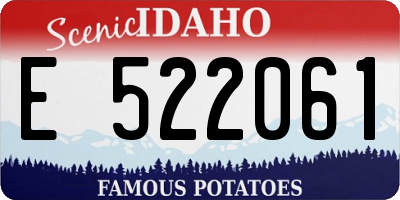 ID license plate E522061