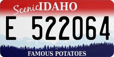 ID license plate E522064