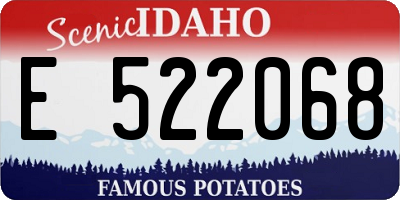ID license plate E522068
