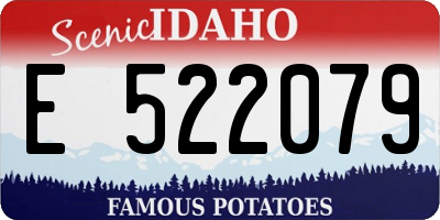 ID license plate E522079