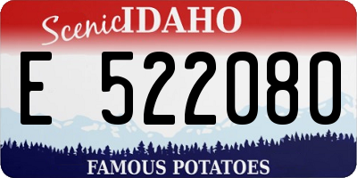 ID license plate E522080