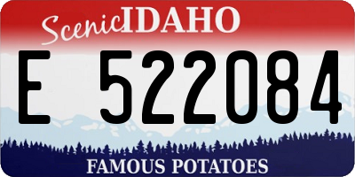 ID license plate E522084
