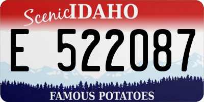 ID license plate E522087