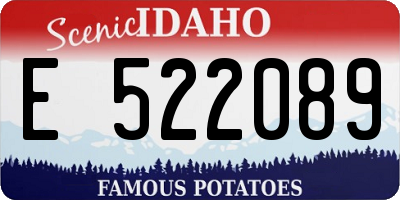 ID license plate E522089