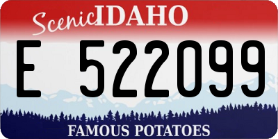 ID license plate E522099