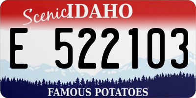 ID license plate E522103