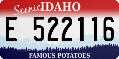 ID license plate E522116