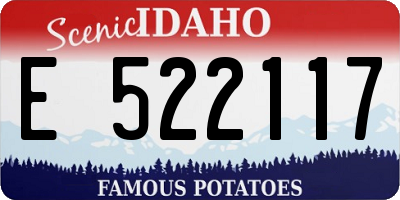 ID license plate E522117