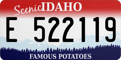 ID license plate E522119