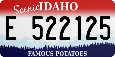 ID license plate E522125