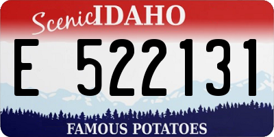 ID license plate E522131