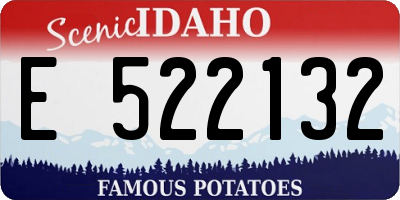 ID license plate E522132