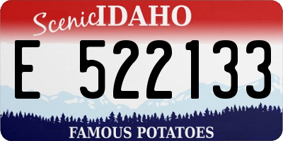ID license plate E522133