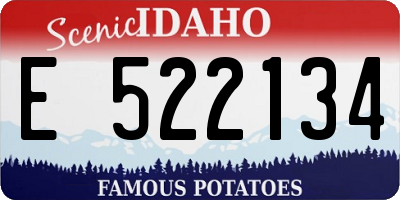 ID license plate E522134