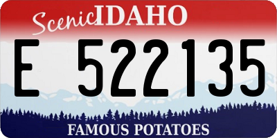ID license plate E522135