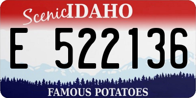 ID license plate E522136