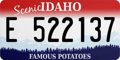 ID license plate E522137