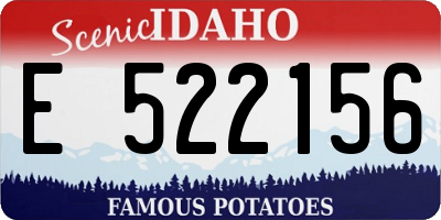 ID license plate E522156