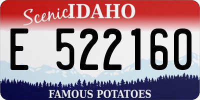 ID license plate E522160