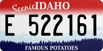 ID license plate E522161