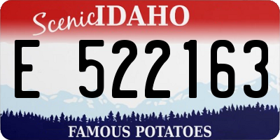 ID license plate E522163
