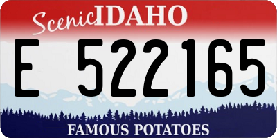 ID license plate E522165