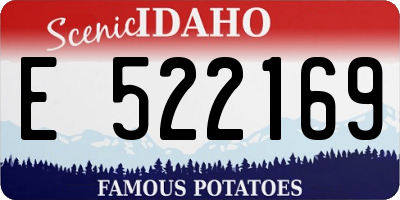 ID license plate E522169
