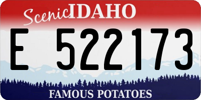 ID license plate E522173