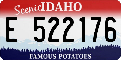 ID license plate E522176