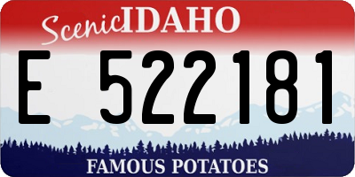 ID license plate E522181